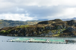 商業(yè)和家庭在線水質(zhì)監(jiān)測